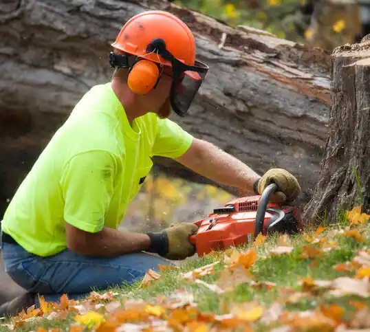 tree services Baden